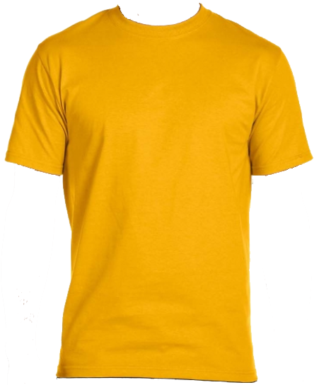 G800 Gildan T-Shirt 8000 Dry Blend 50/50
